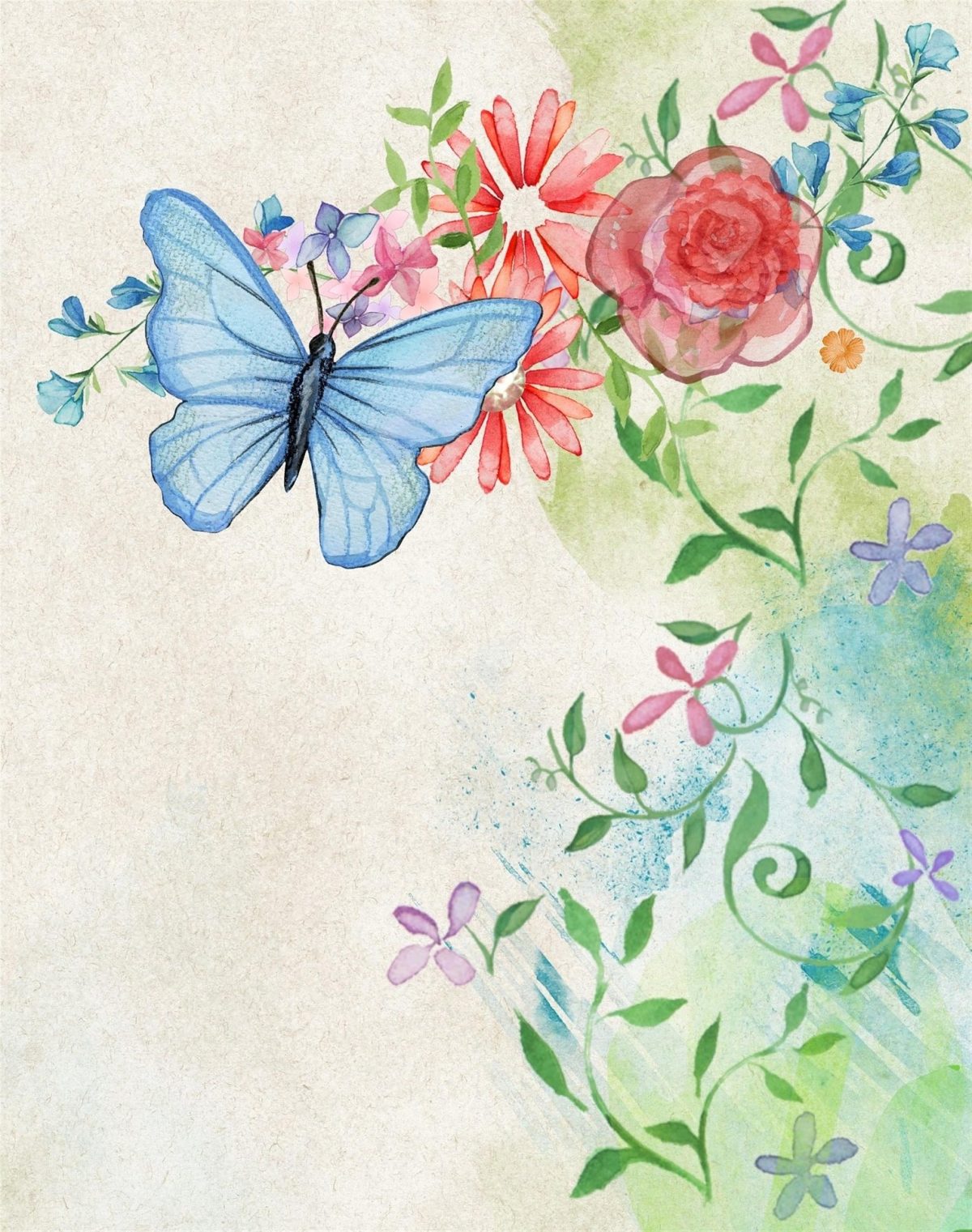 “Su ali di farfalla”: lo schema del romanzo